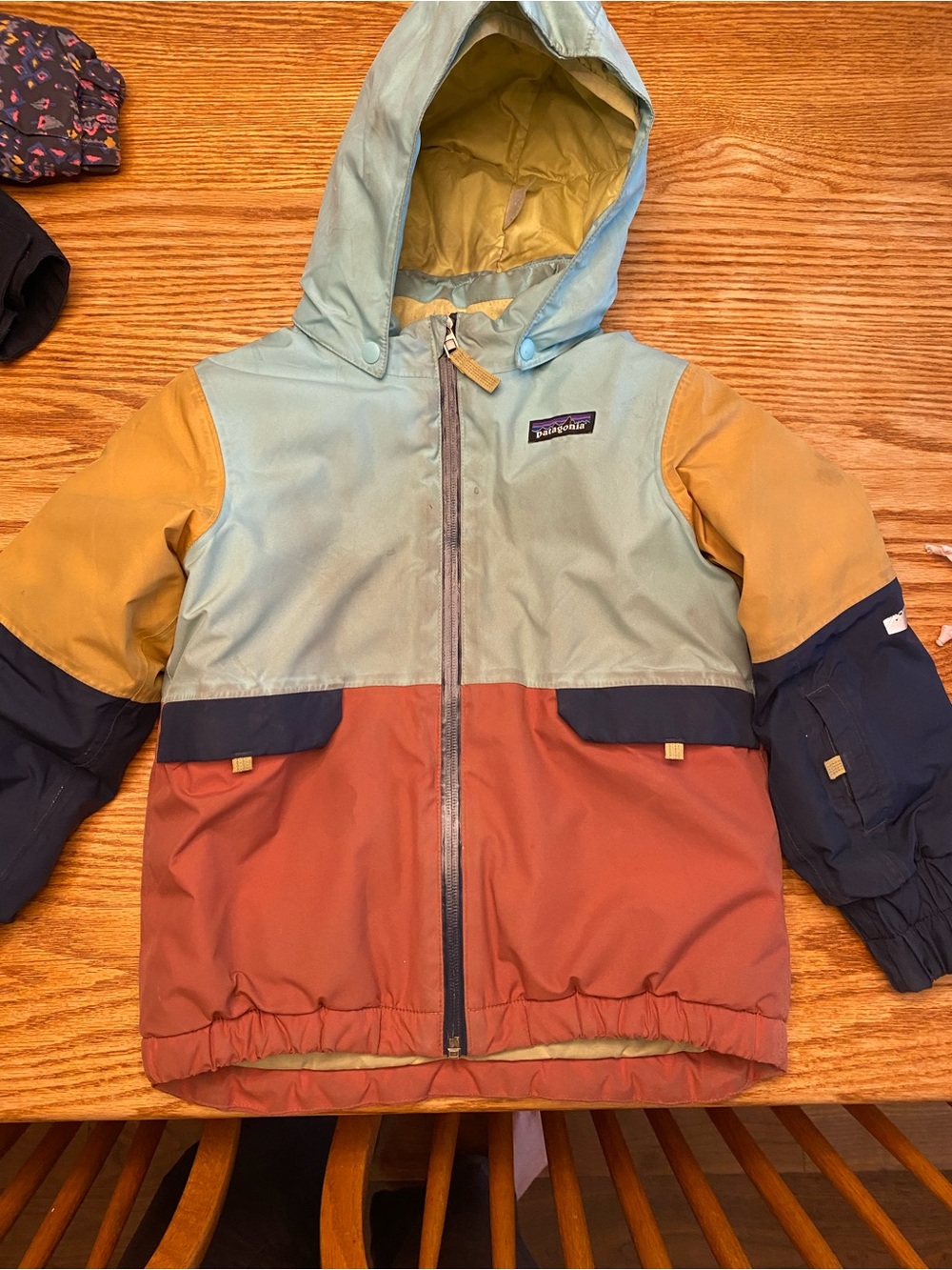 Patagonia Kids Colorblock Hooded Puffer Jacket - Rust, Sage, Mustard, Navy